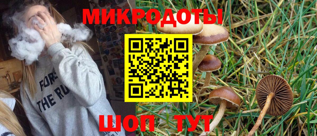 Галлюциногенные грибы Psilocybe Щёлково